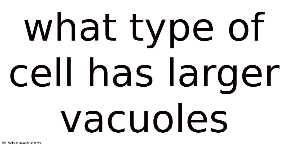 What Type Of Cell Has Larger Vacuoles