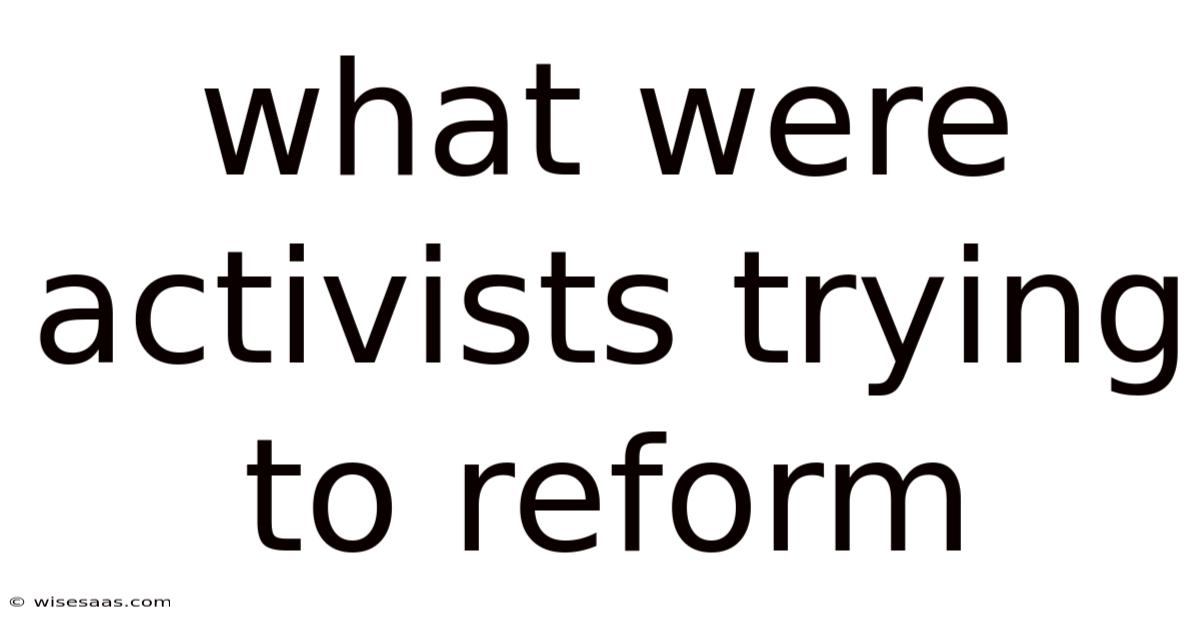 What Were Activists Trying To Reform