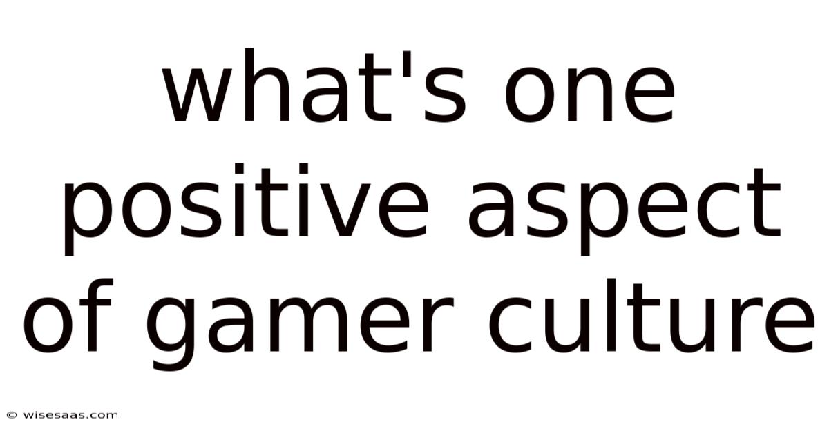 What's One Positive Aspect Of Gamer Culture