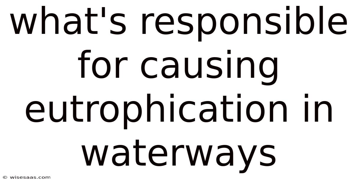 What's Responsible For Causing Eutrophication In Waterways