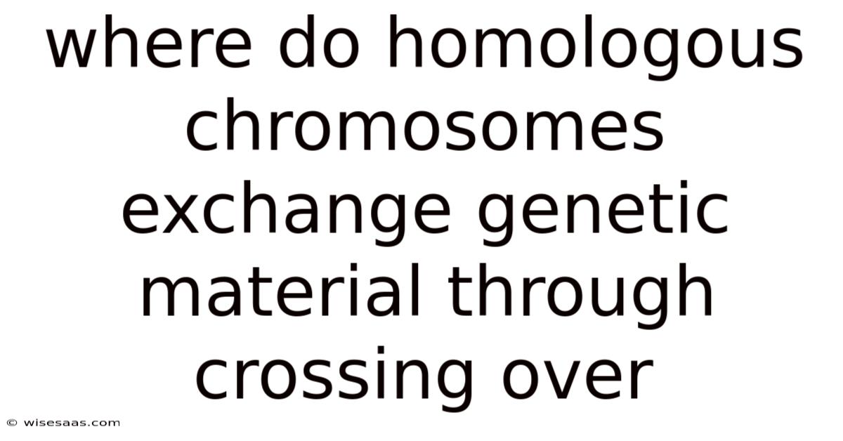 Where Do Homologous Chromosomes Exchange Genetic Material Through Crossing Over