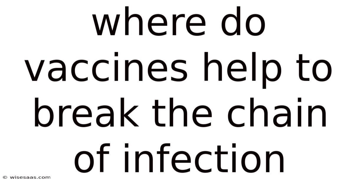 Where Do Vaccines Help To Break The Chain Of Infection