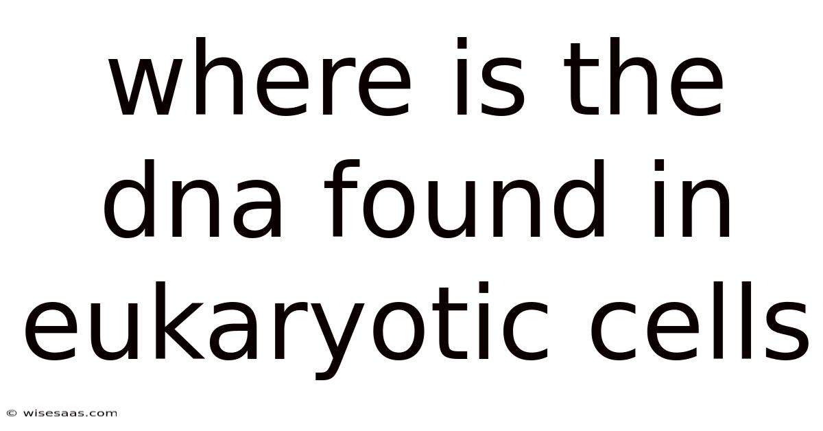 Where Is The Dna Found In Eukaryotic Cells