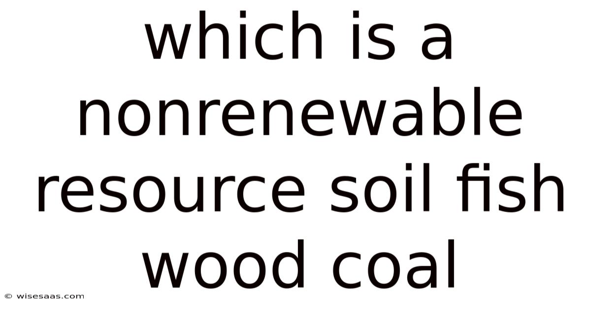 Which Is A Nonrenewable Resource Soil Fish Wood Coal