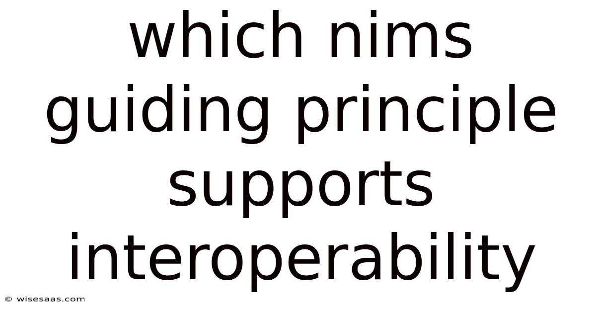 Which Nims Guiding Principle Supports Interoperability