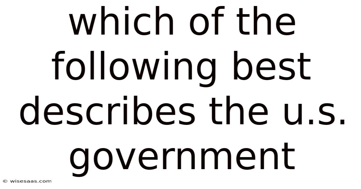 Which Of The Following Best Describes The U.s. Government