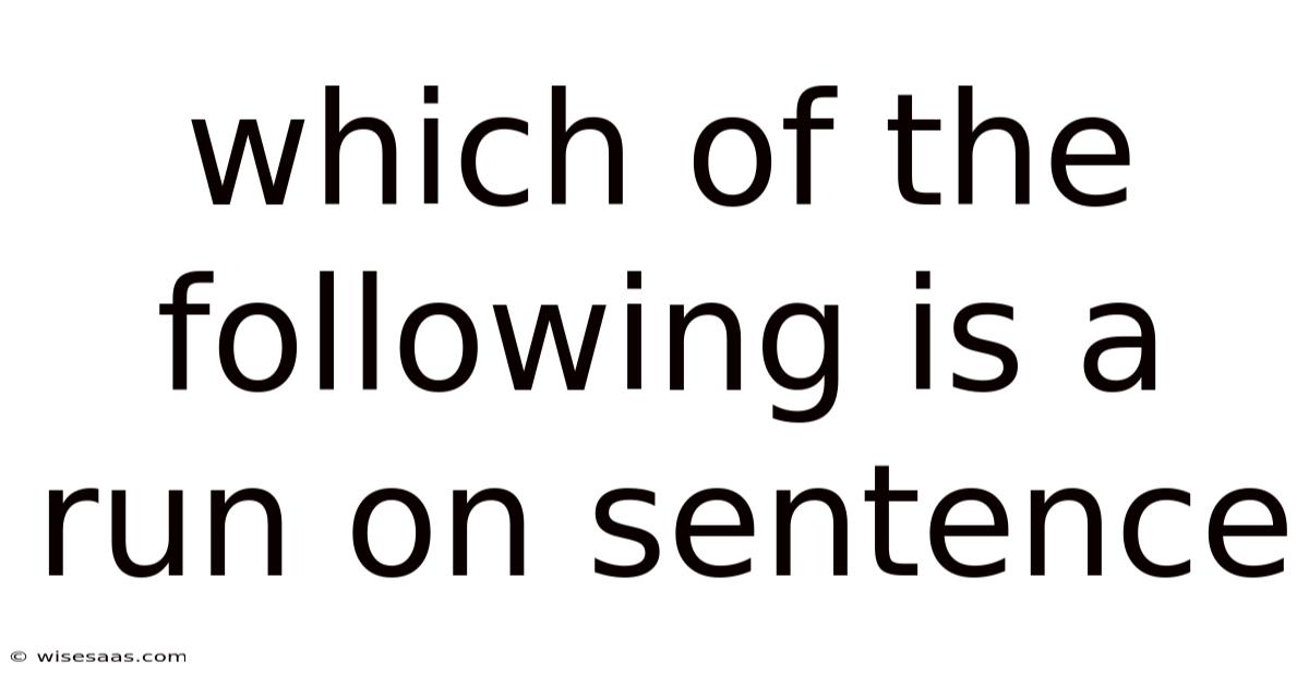 Which Of The Following Is A Run On Sentence