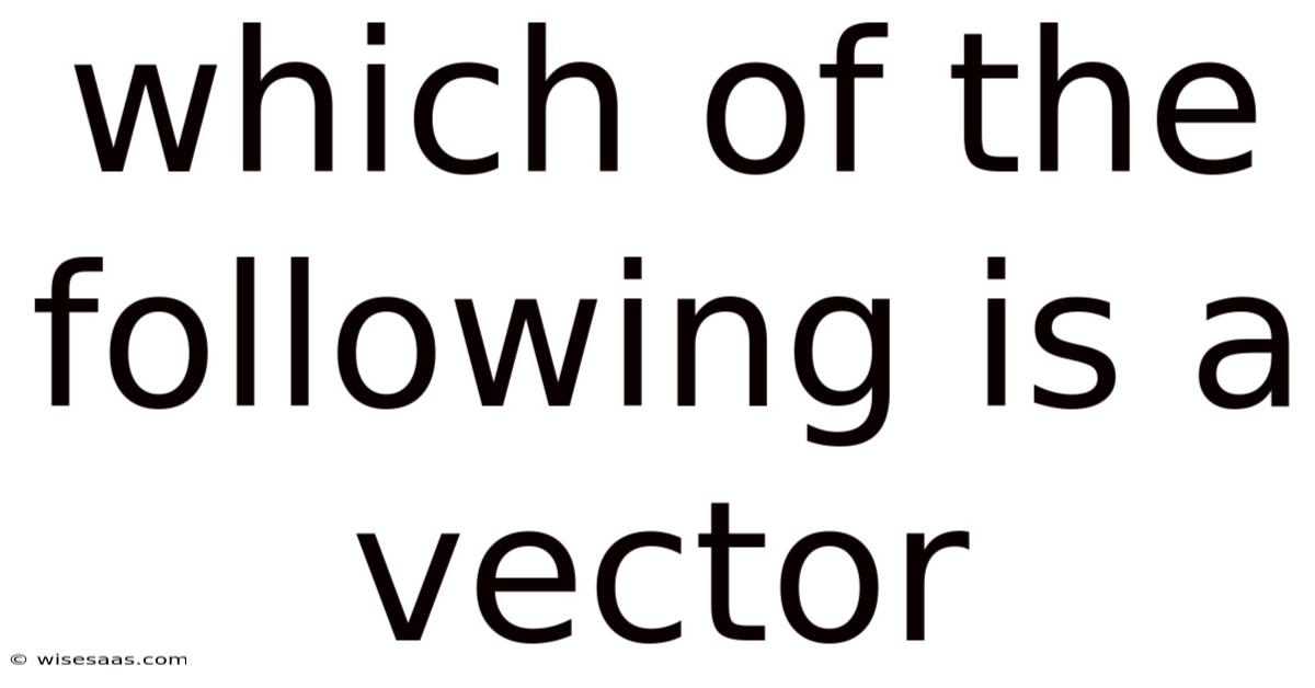 Which Of The Following Is A Vector