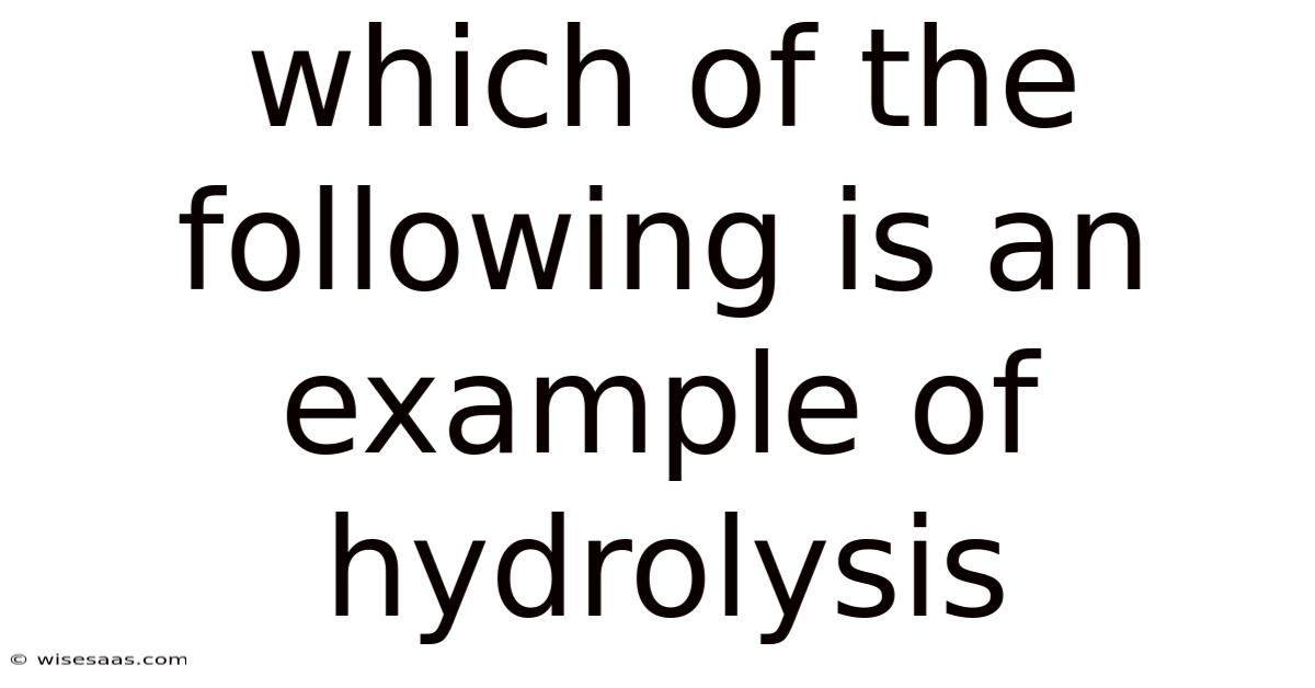 Which Of The Following Is An Example Of Hydrolysis