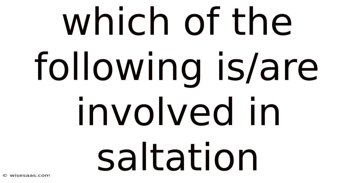 Which Of The Following Is/are Involved In Saltation