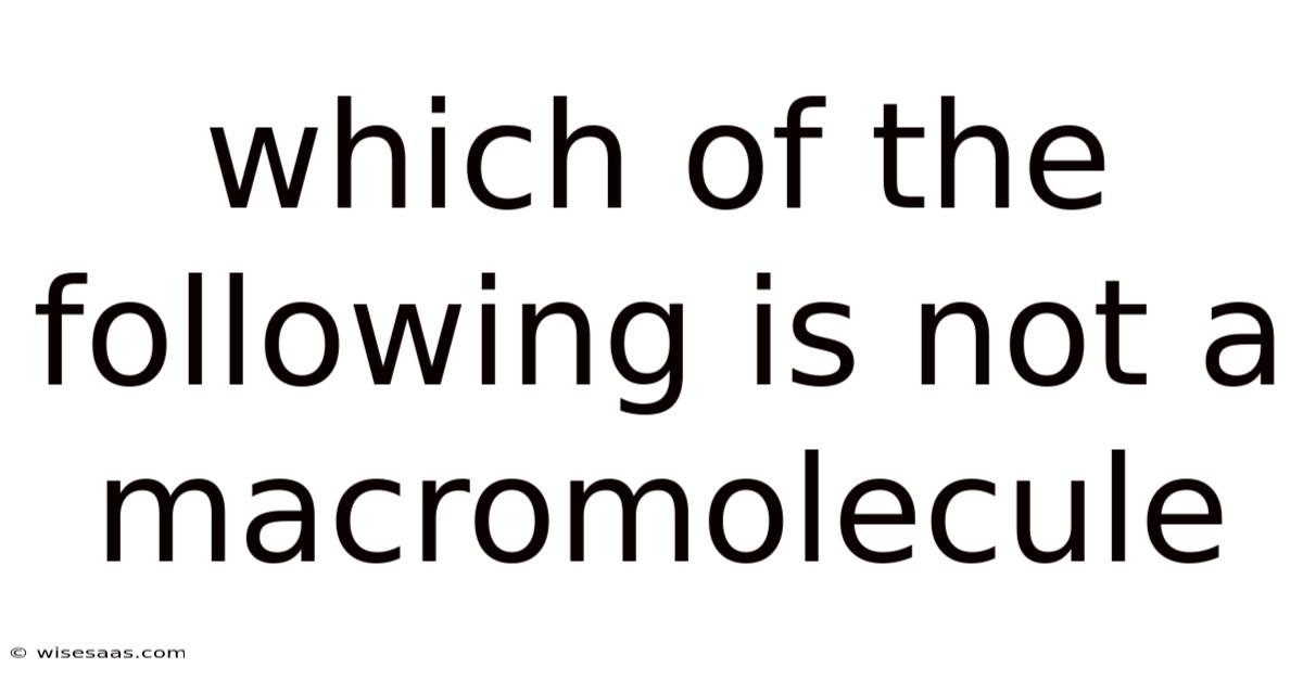 Which Of The Following Is Not A Macromolecule