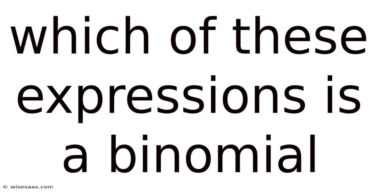 Which Of These Expressions Is A Binomial