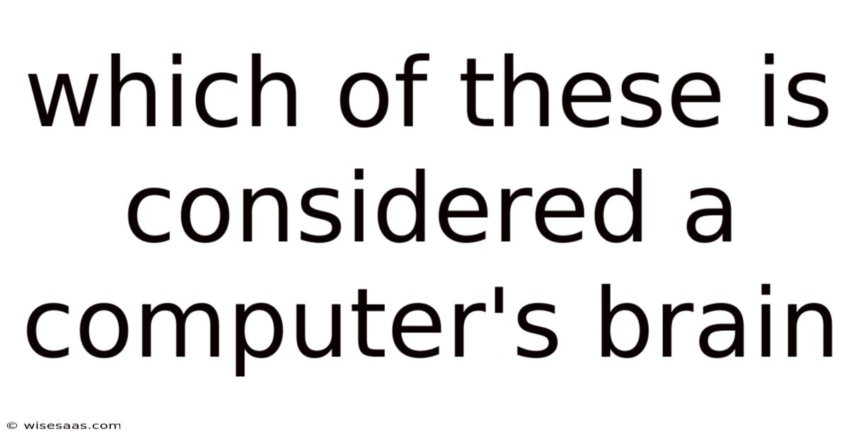 Which Of These Is Considered A Computer's Brain