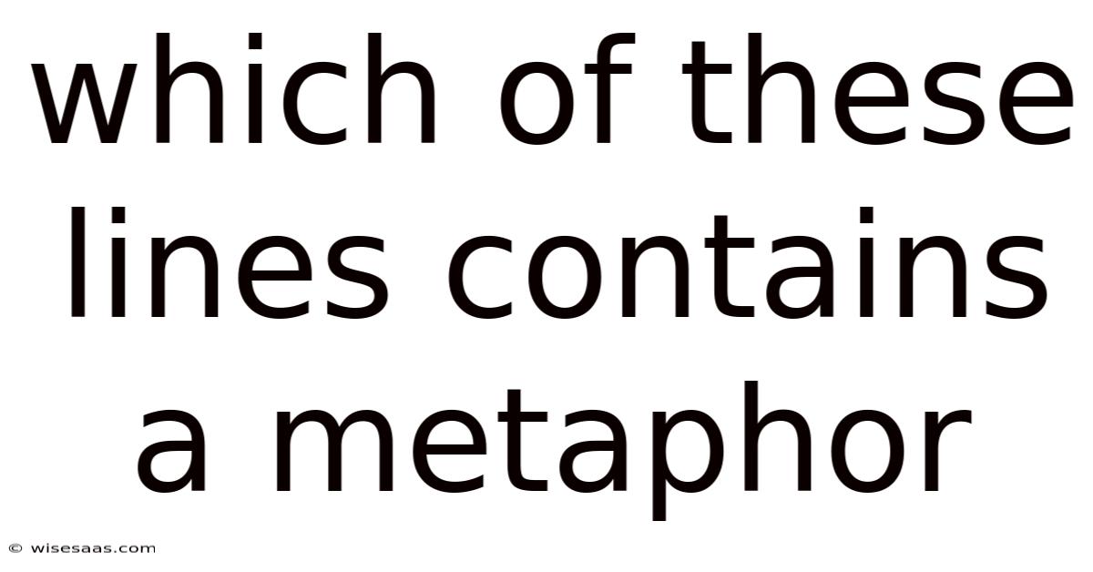 Which Of These Lines Contains A Metaphor