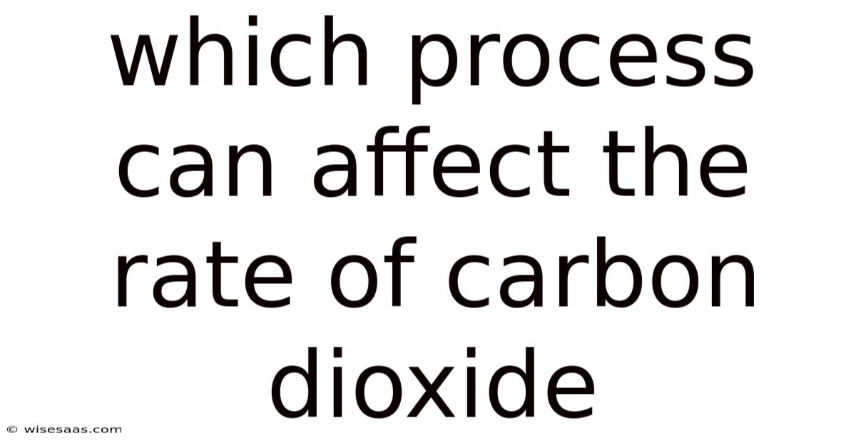 Which Process Can Affect The Rate Of Carbon Dioxide