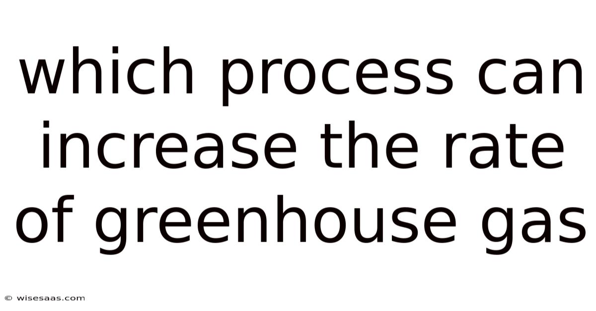 Which Process Can Increase The Rate Of Greenhouse Gas