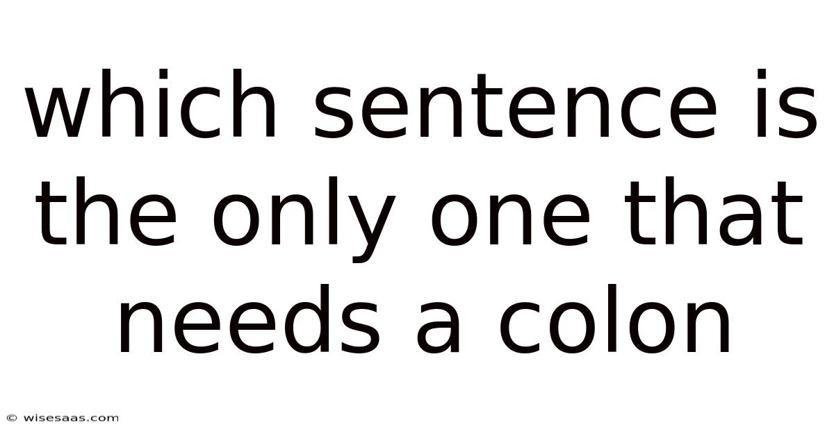 Which Sentence Is The Only One That Needs A Colon