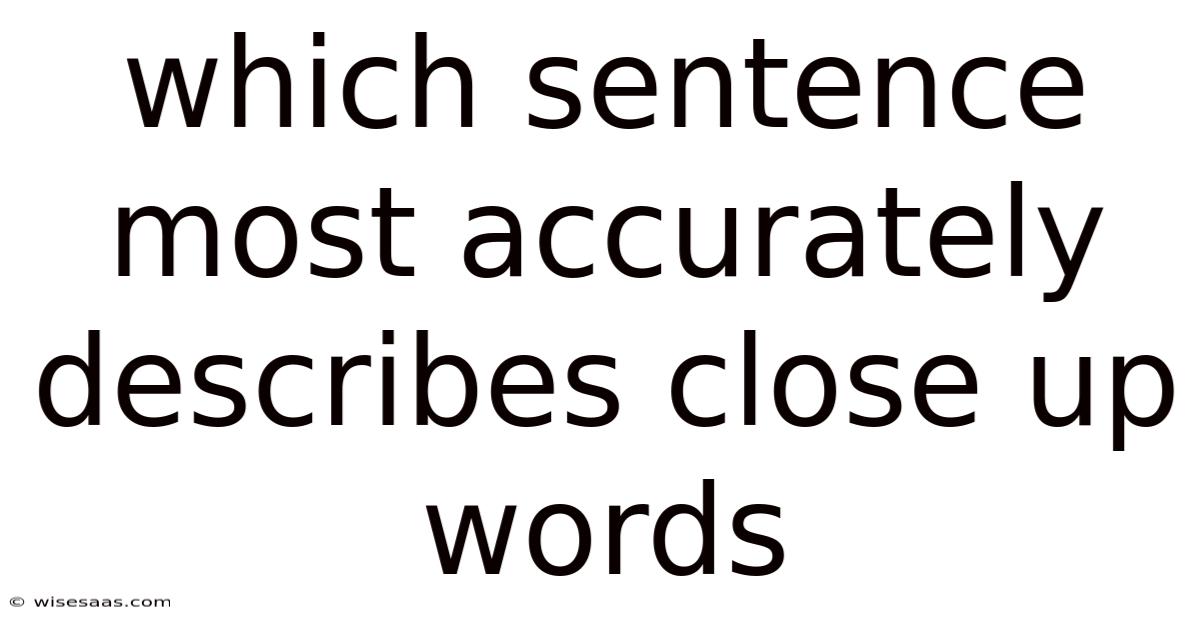 Which Sentence Most Accurately Describes Close Up Words