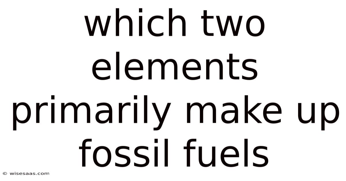 Which Two Elements Primarily Make Up Fossil Fuels