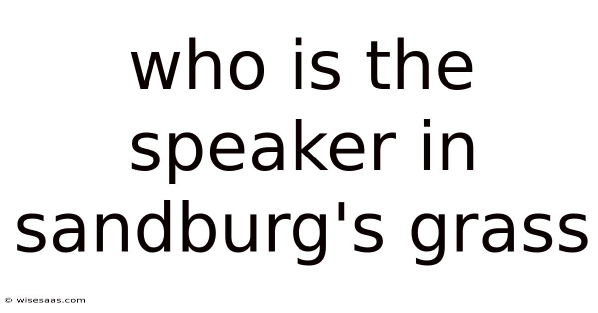 Who Is The Speaker In Sandburg's Grass