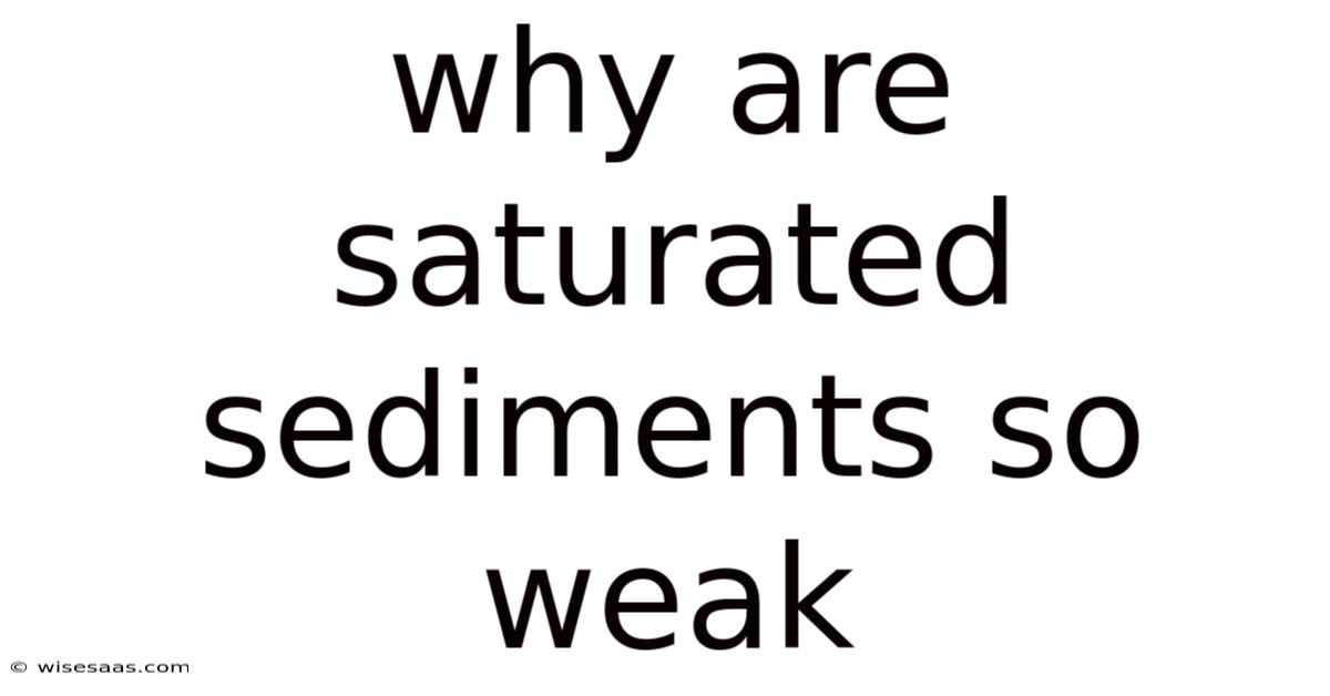 Why Are Saturated Sediments So Weak